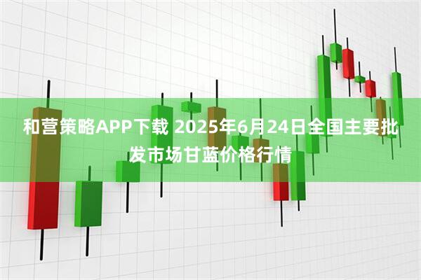 和营策略APP下载 2025年6月24日全国主要批发市场甘蓝价格行情