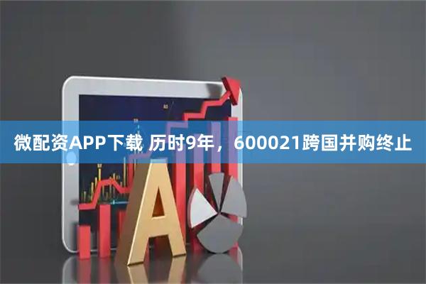 微配资APP下载 历时9年，600021跨国并购终止